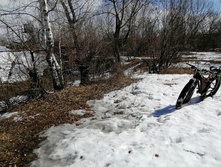 IMG 20210410 133742.jpg