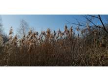 IMG 20210410 145523.jpg