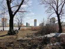 IMG 20210410 145039.jpg