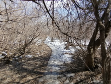 IMG 20210410 143117.jpg