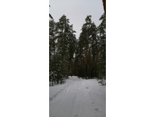 IMG 20210403 095129.jpg