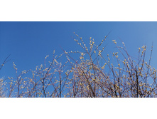 IMG 20210411 113135.jpg