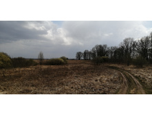 IMG 20210424 124951.jpg