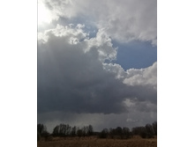 IMG 20210424 121029.jpg