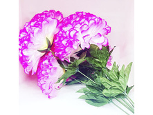 ���������� 199+%