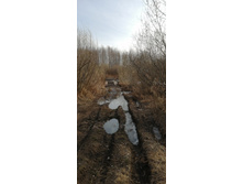 IMG 20210416 073518.jpg