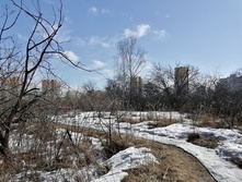 IMG 20210410 143310.jpg