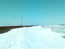 20210411 ��-���-������-��������-�� 125018.jpg