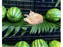 ���������, ������� �������� ������� ��������!