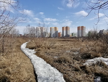 IMG 20210410 143413.jpg