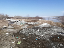 IMG 20210411 132853.jpg