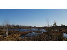 IMG 20210418 094753.jpg