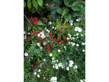 ����������� viber 2021-02-26 22-15-485.jpg