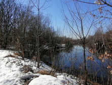 IMG 20210410 135616.jpg