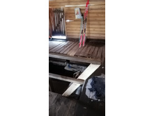 IMG 20210403 103651.jpg