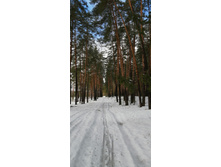 IMG 20210403 113115.jpg