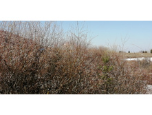 IMG 20210411 112547.jpg