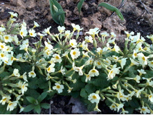 ������� ������ ��������������