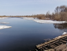 IMG 20210416 074024.jpg