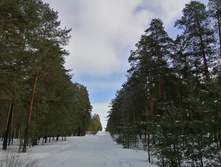 IMG 20210403 120457.jpg