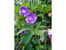 �������� �̣���