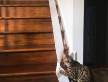 �������! ���������!