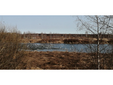 IMG 20210417 080325.jpg