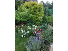 ����������� viber 2021-02-26 22-16-421.jpg