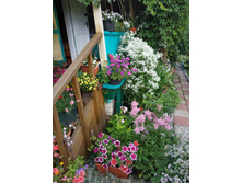 ����������� viber 2021-02-26 22-15-482.jpg