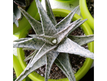 IMG 20210404 121918[1].jpg