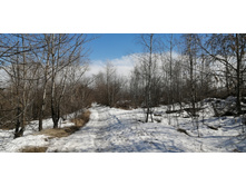 IMG 20210410 132005.jpg