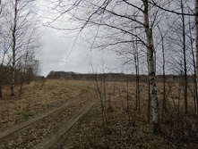 IMG 20210424 115453.jpg