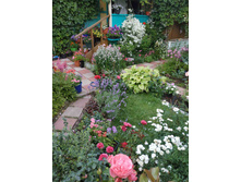 ����������� viber 2021-02-26 22-16-424.jpg