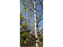 IMG 20210424 144243.jpg