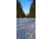 IMG 20210404 101855.jpg