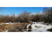 IMG 20210410 131247.jpg