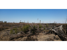 IMG 20210418 092053.jpg