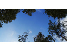 IMG 20210403 104756.jpg