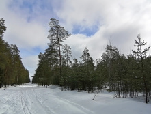 IMG 20210403 115400.jpg