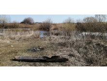 IMG 20210416 091933.jpg