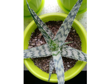 IMG 20210404 120946[1].jpg