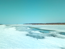 20210411 ��-���-������-��������-�� 125010.jpg