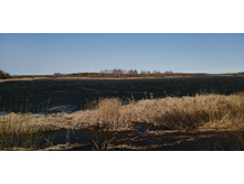 IMG 20210417 100107.jpg