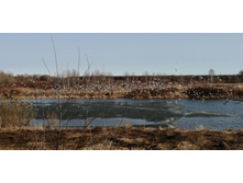 IMG 20210417 080355.jpg