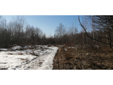 IMG 20210410 150011.jpg