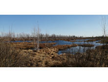 IMG 20210418 094725.jpg