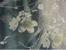 ������� ������