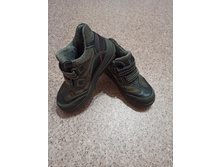 ������� ��������� �-� 31