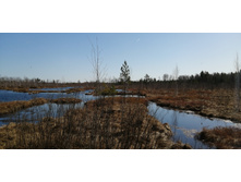 IMG 20210418 094737.jpg