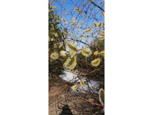 IMG 20210417 075329.jpg